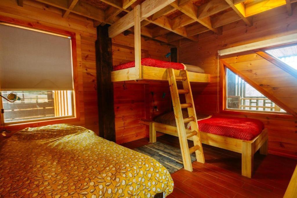 Sirena Insolente Hostel & Suites Pichilemu Exteriér fotografie