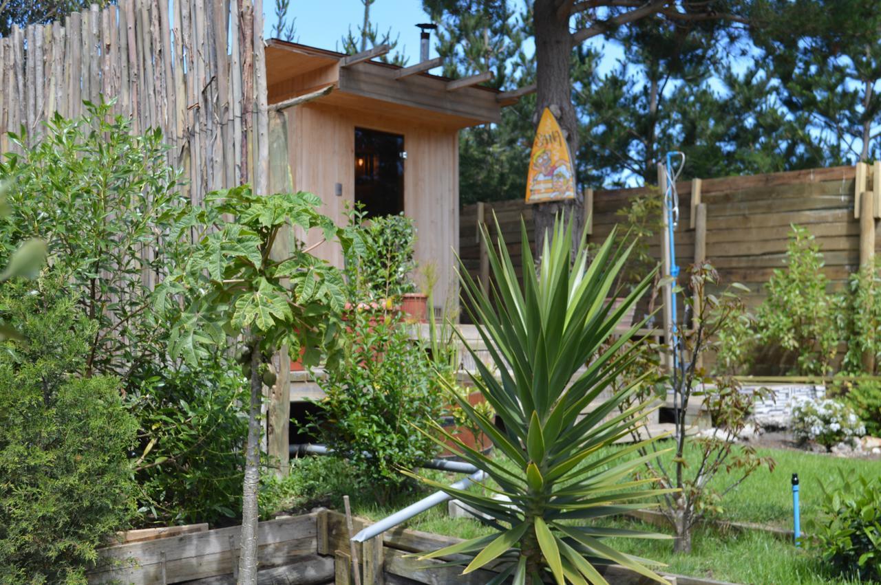 Sirena Insolente Hostel & Suites Pichilemu Exteriér fotografie
